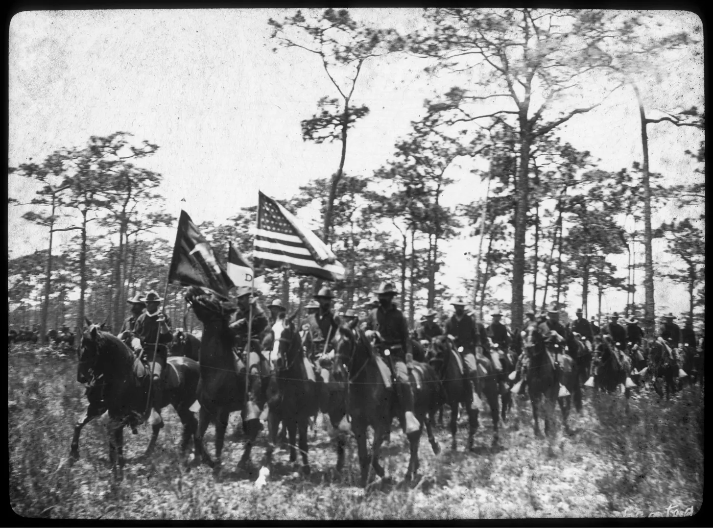 Mounted Rough Rider regiment riding through pine woods near Tampa