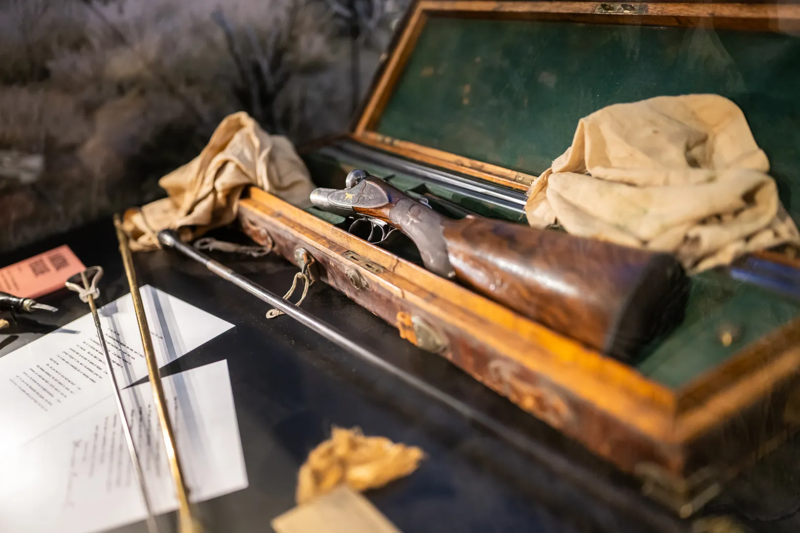 Gun in the Africa Exhibition