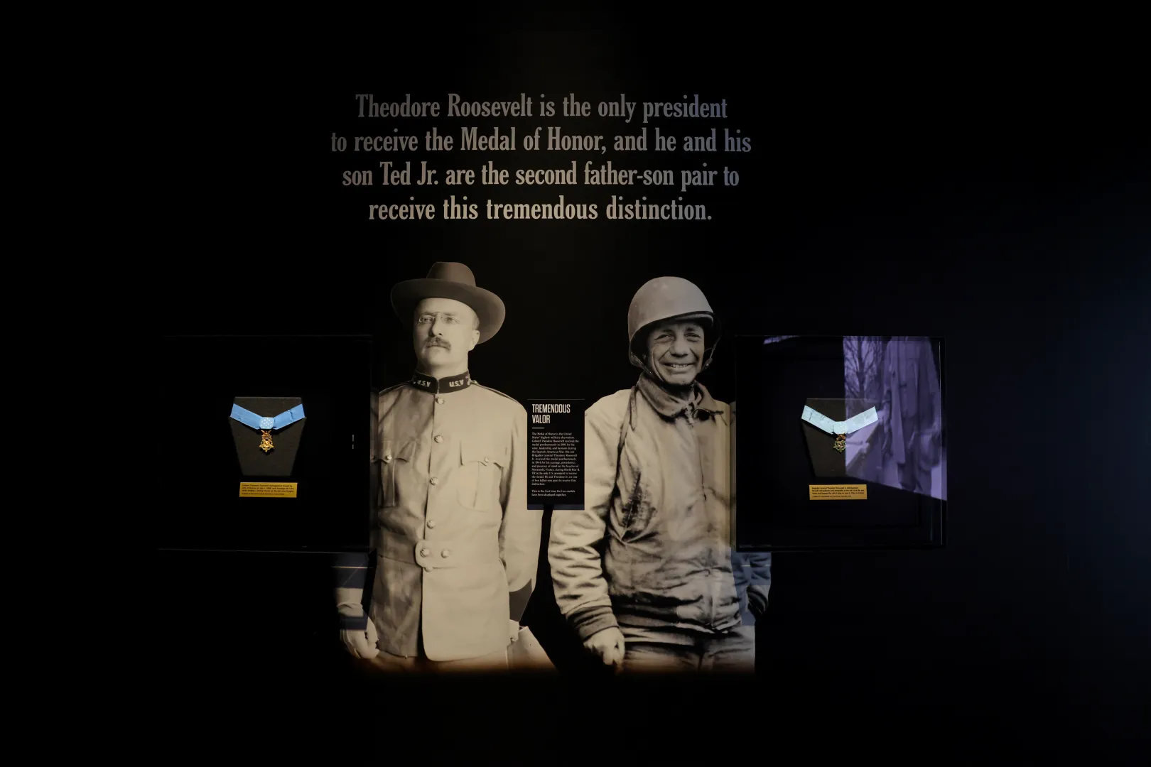 Theodore Roosevelt and Theodore Roosevelt, Jr.'s Congressional Medal of Honor