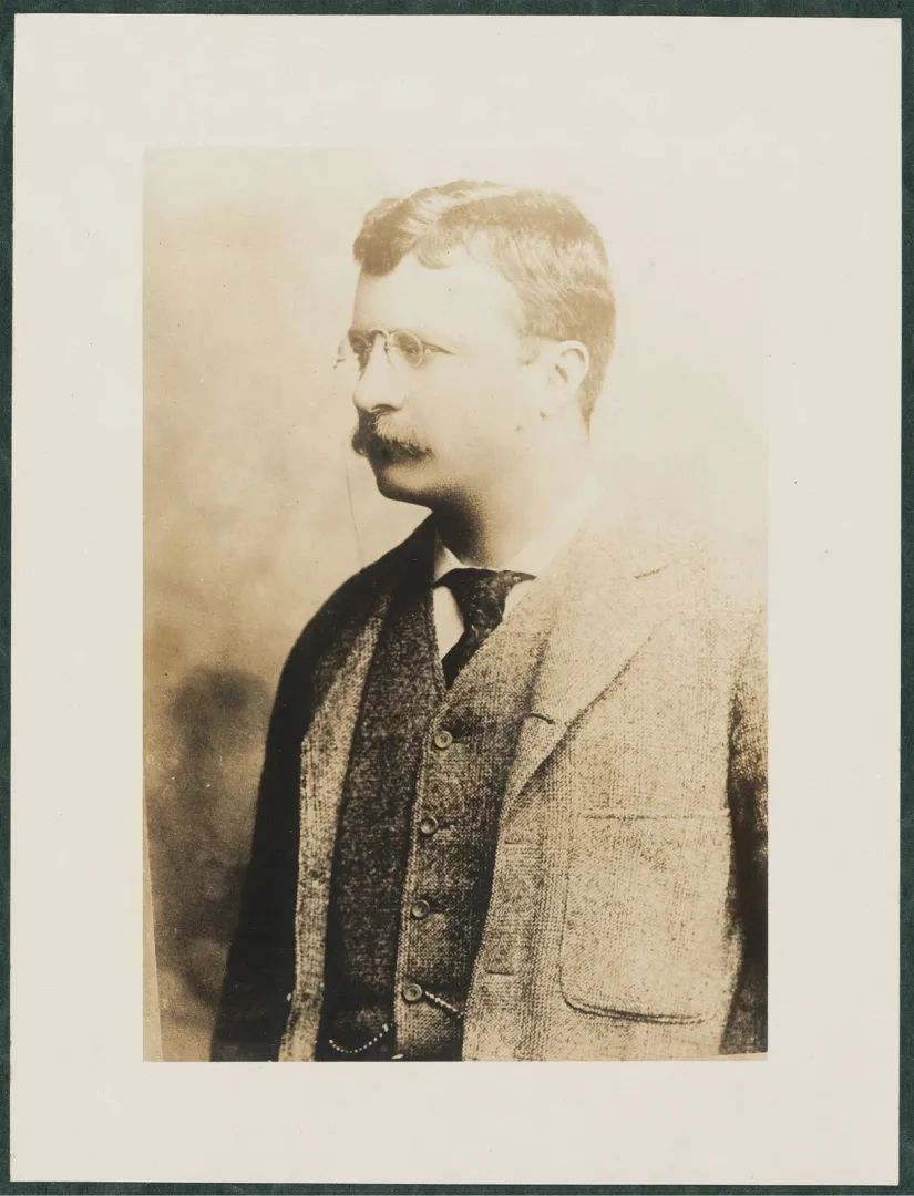 Studio portrait of a young Theodore Roosevelt with a mustache and pince-nez, seen in profile