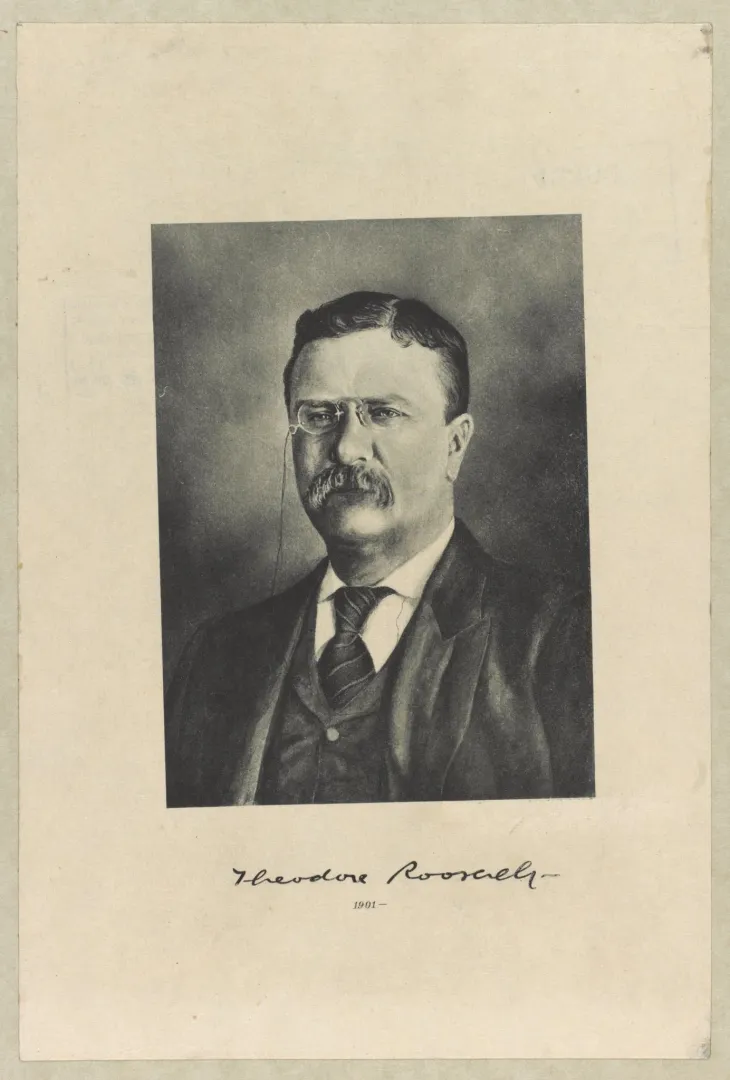 Head-and-shoulders portrait of Theodore Roosevelt