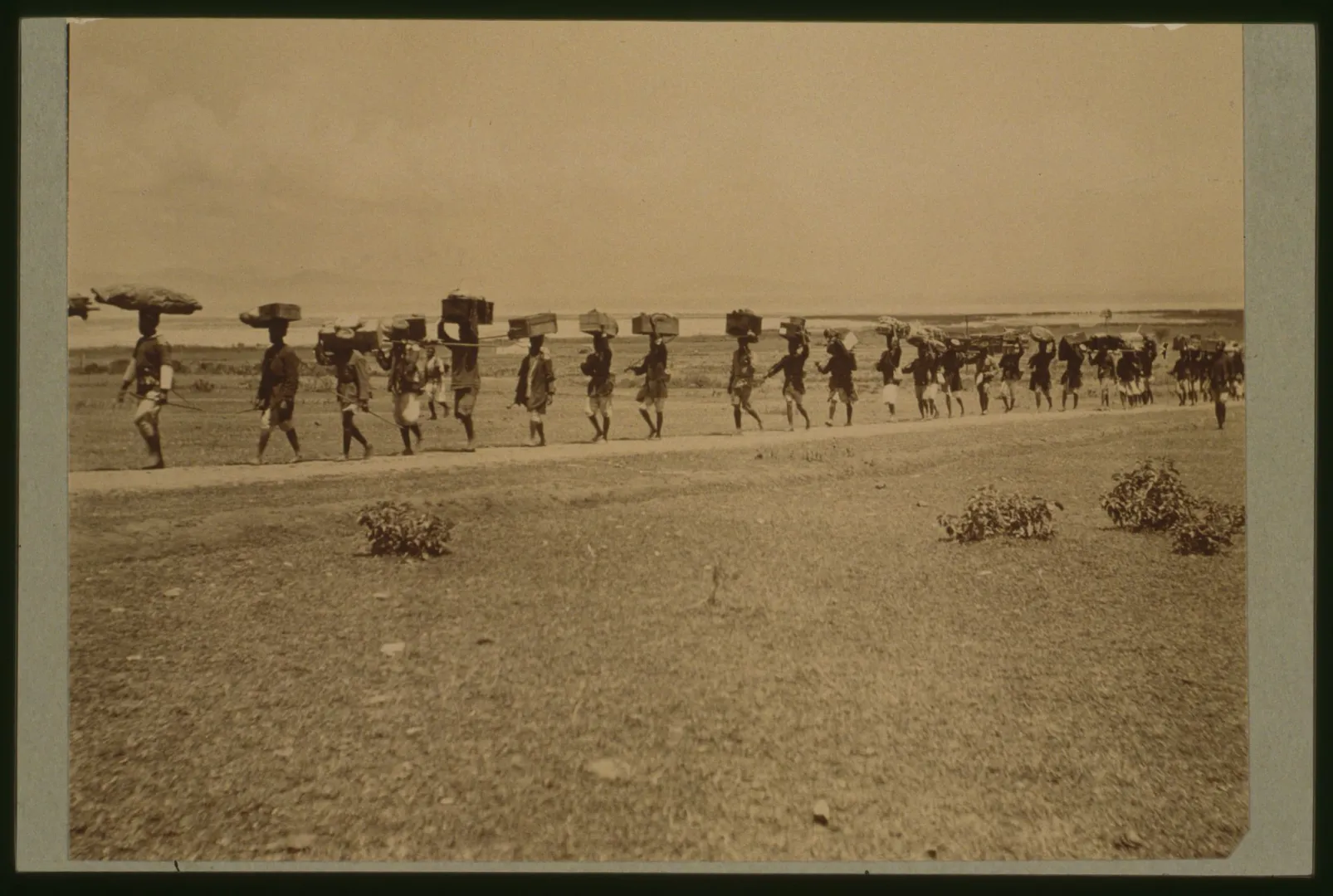 A long line of porters carrying supplies on the Roosevelt expedition