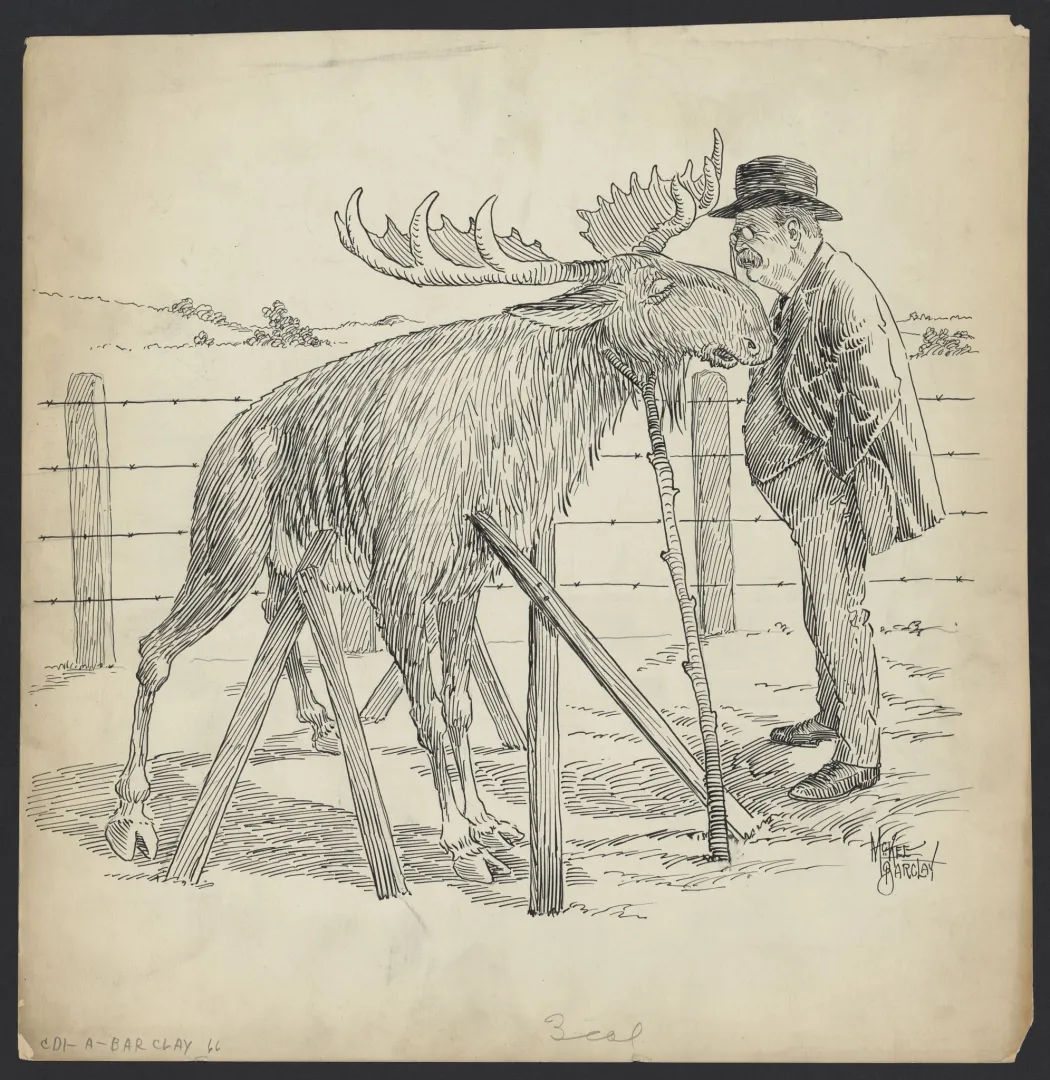 Cartoon of Theodore Roosevelt with a bull moose, symbol of his new party