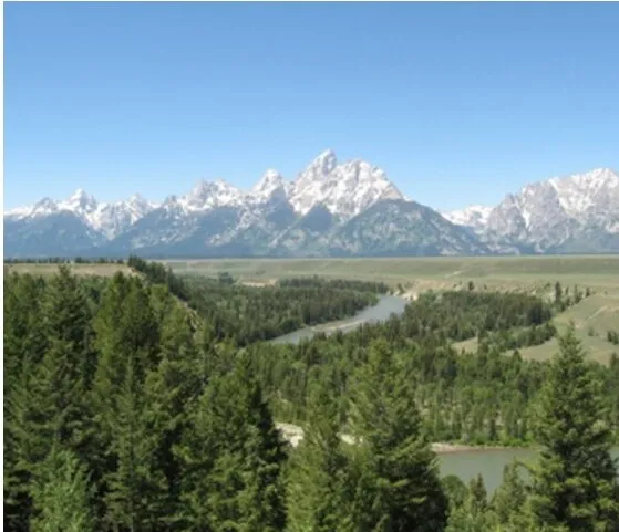 The Snake River bending through pine forest with the Teton Range on the horizon, seen from Snake River Overlook