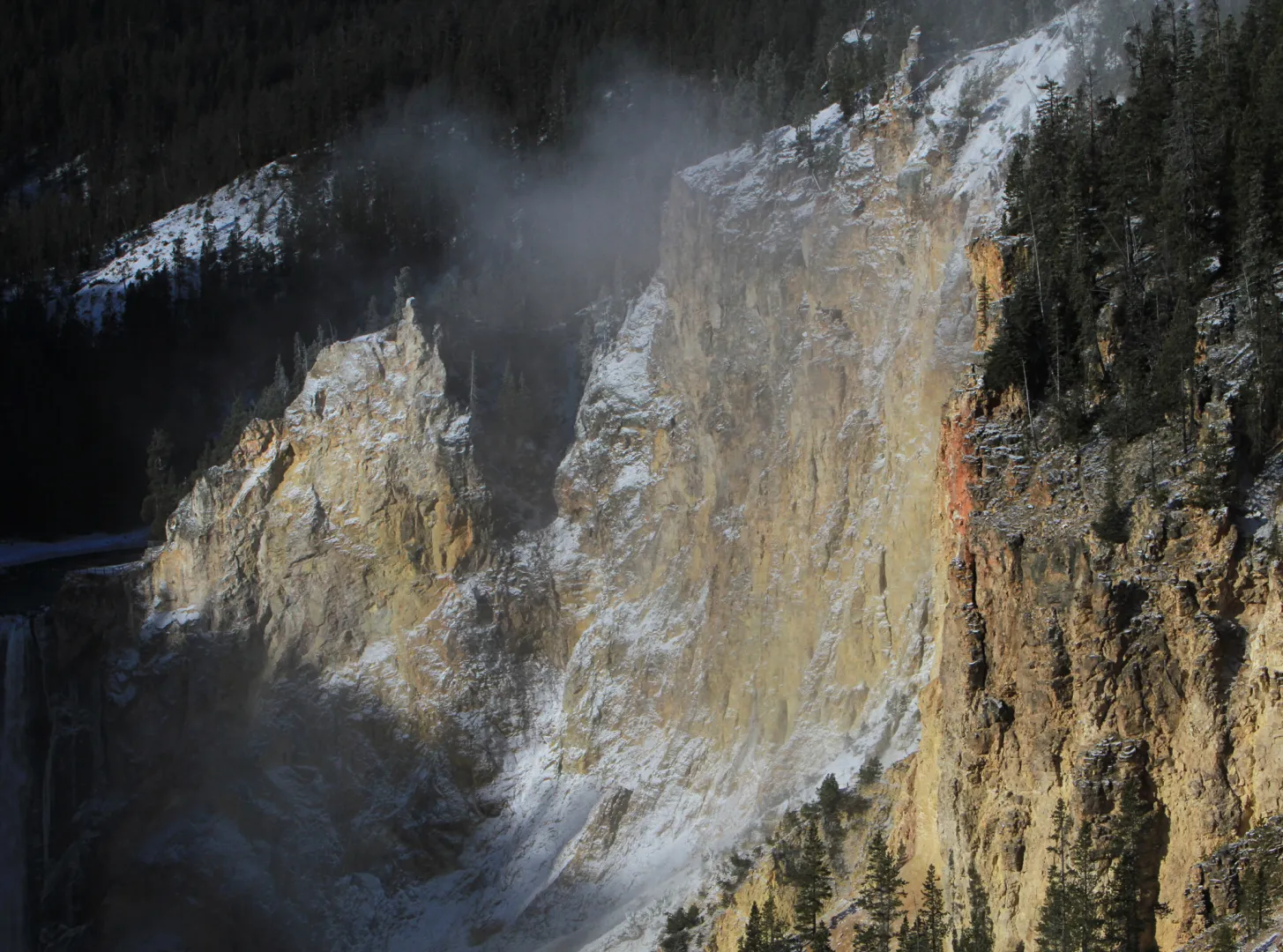 The yellow rhyolite walls of the Grand Canyon of the Yellowstone