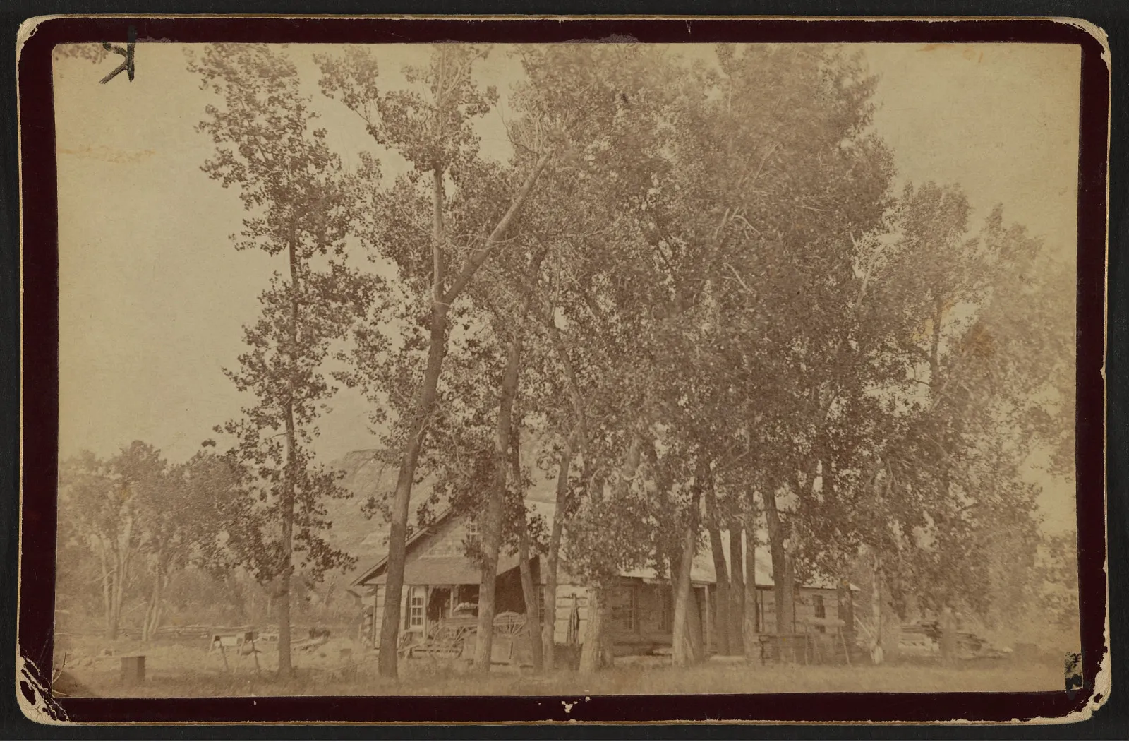 Roosevelt's Elkhorn Ranch buildings set among cottonwood trees along the Little Missouri River.