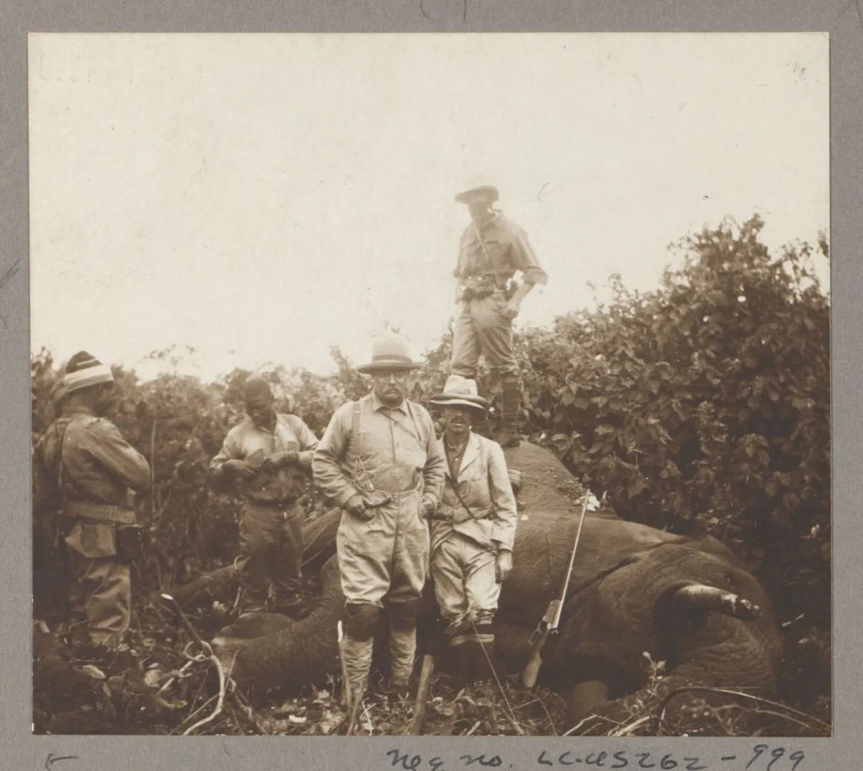 Theodore Roosevelt with expedition members beside a bull elephant during his 1909-1910 African safari