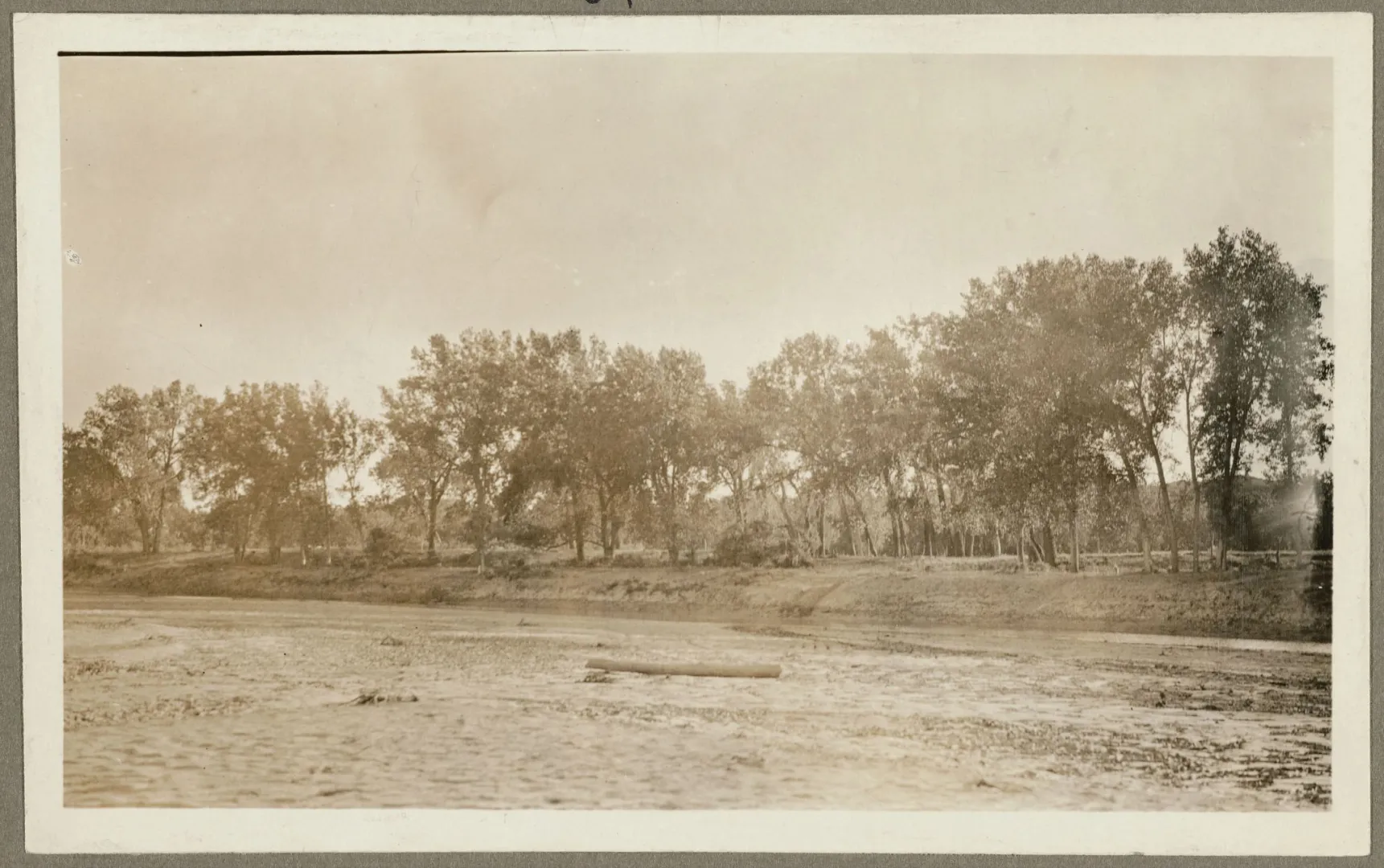 The green bottomland where Roosevelt's Elkhorn Ranch had stood