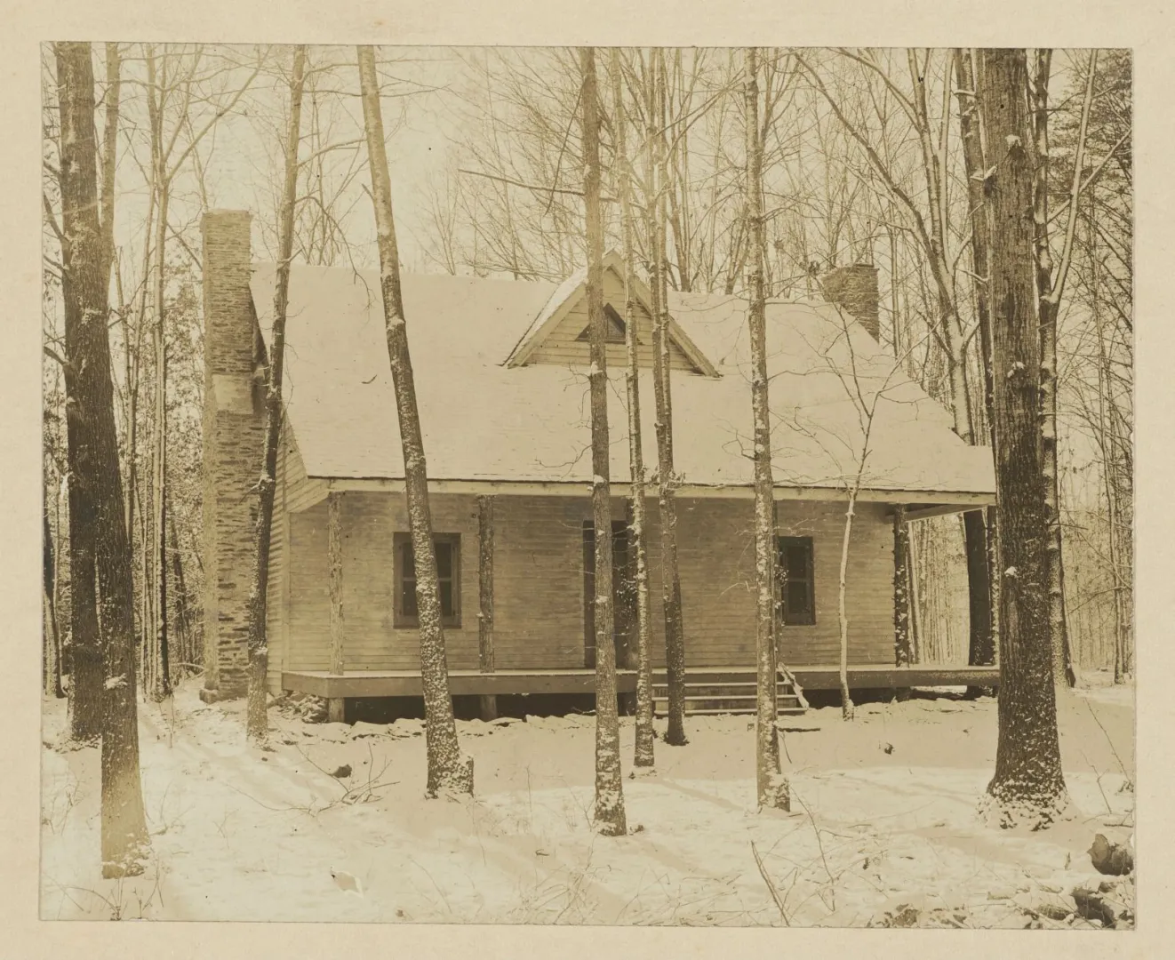 The Roosevelts' rustic Pine Knot cabin among trees in Albemarle County, Virginia