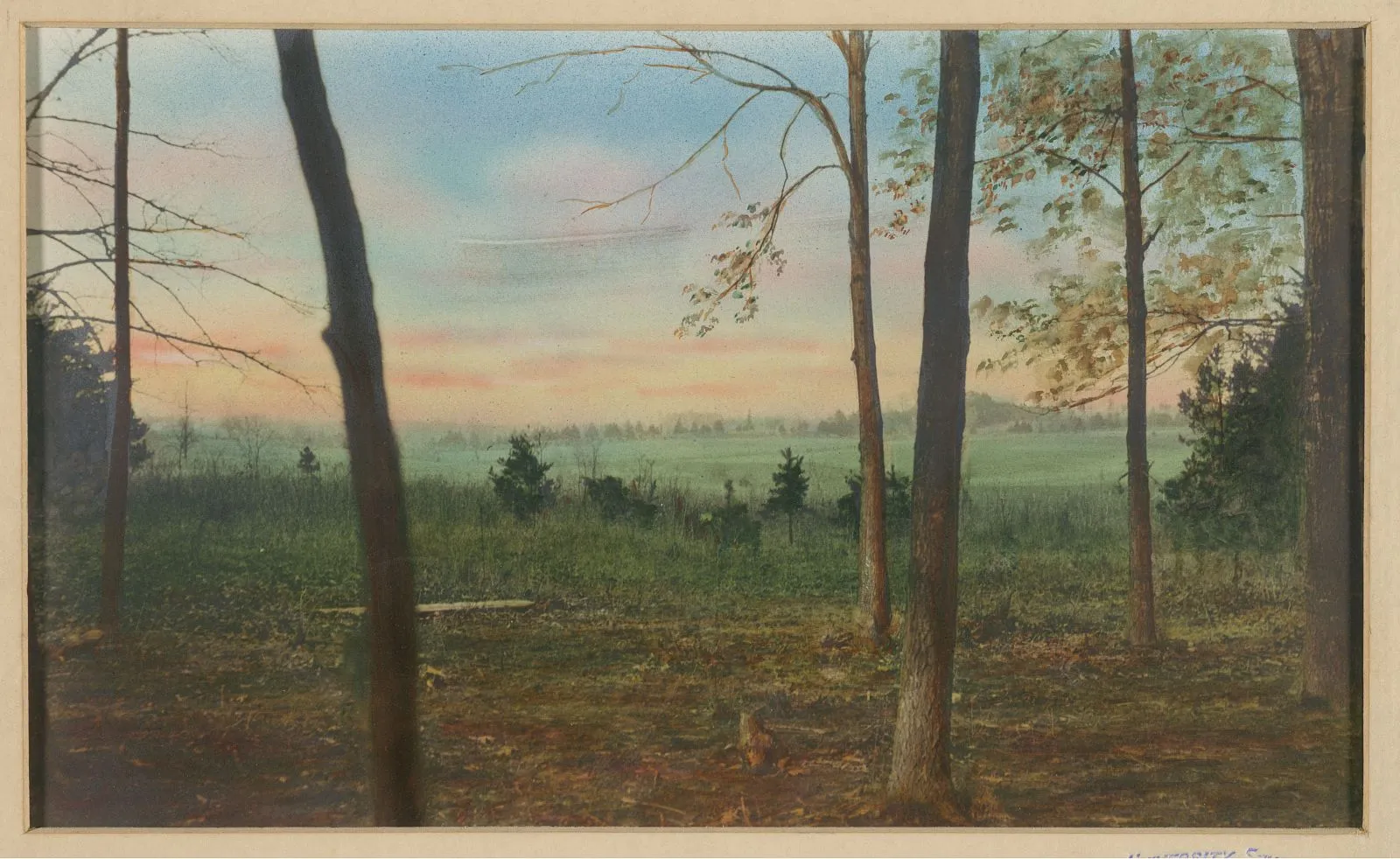 Wooded Virginia landscape at dusk seen from the verandah at Pine Knot