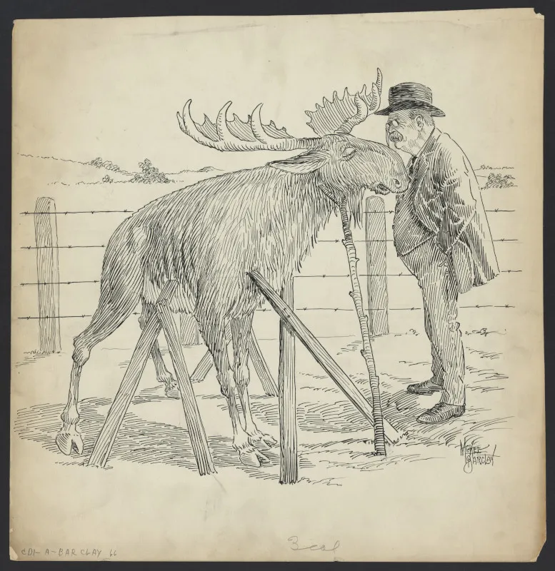 Political Cartoon Bull Moose