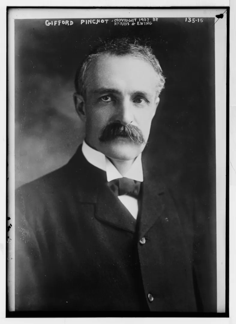 Studio portrait of Gifford Pinchot, first Chief of the United States Forest Service