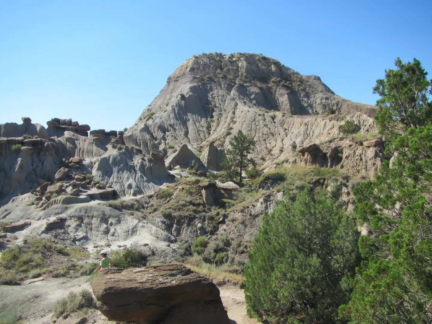 Eroded Hell Creek badlands rising above pine and juniper at Makoshika State Park, Montana