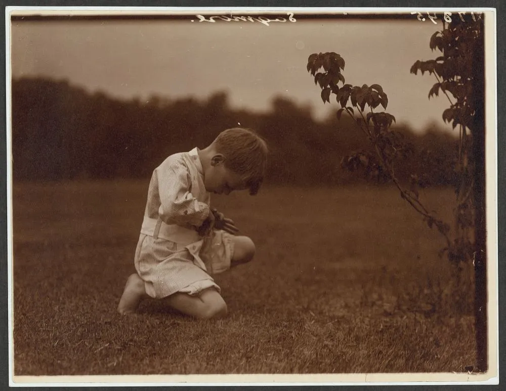 Young Quentin Roosevelt crouching in a daisy field at Sagamore Hill, 1904