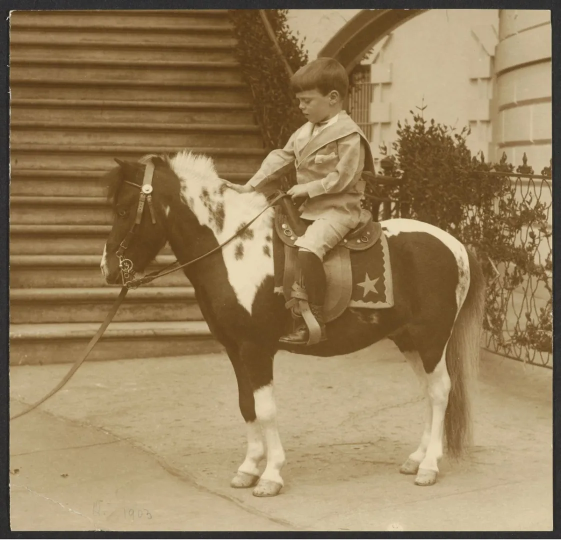 Quentin Roosevelt riding his Shetland pony Algonquin outside the White House, 1903
