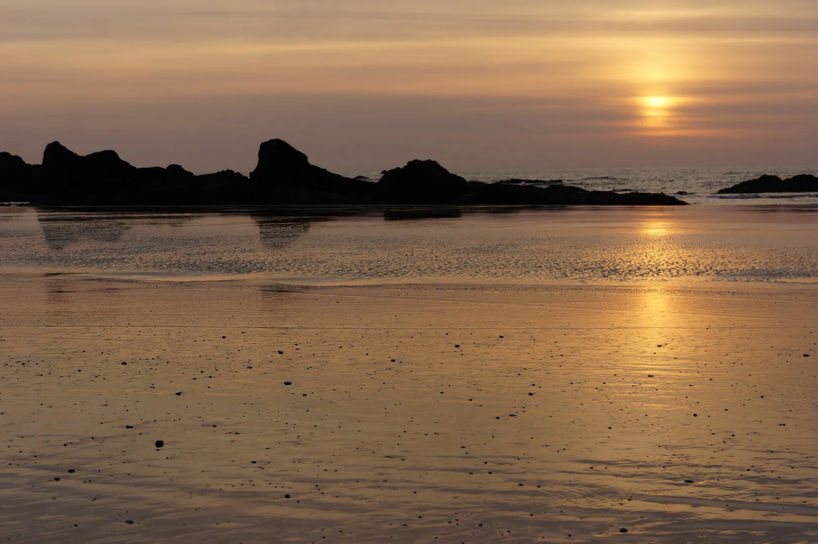 Sea stacks silhouetted against a low sun over wet sand at Ruby Beach on the Olympic coast, Washington