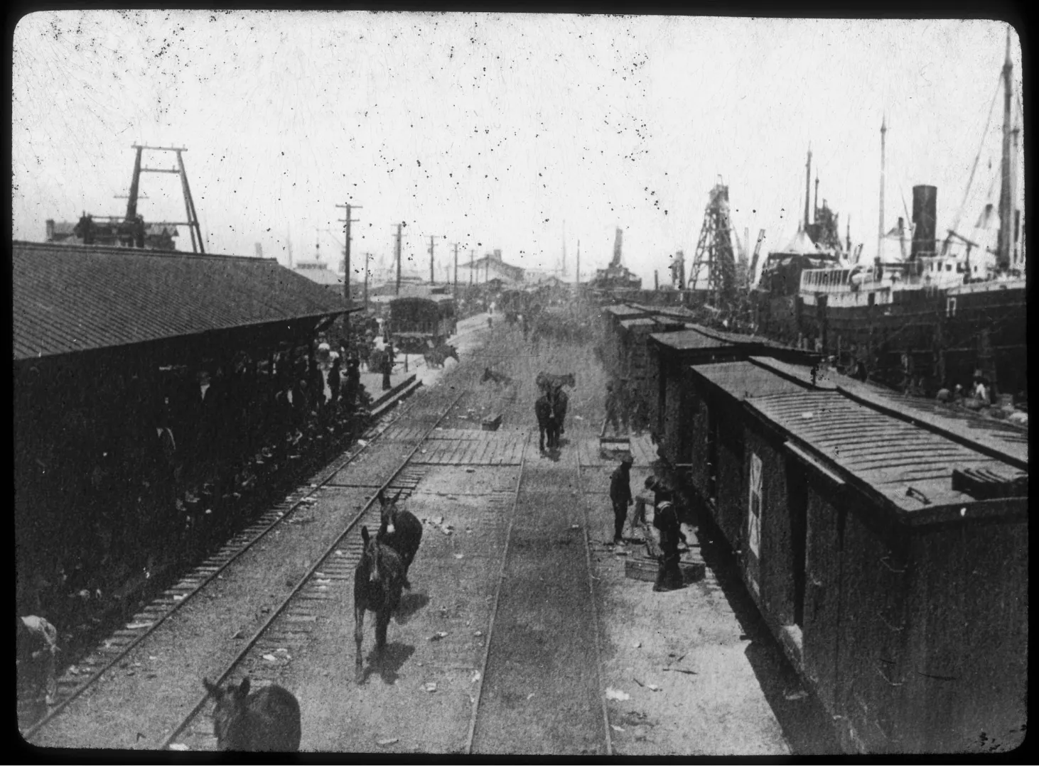 The crowded embarkation pier and rail yard at Tampa Bay, 1898