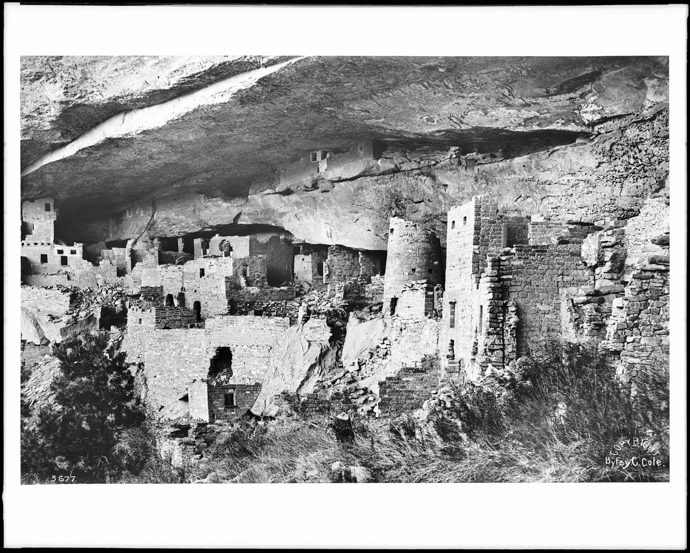Ancient cliff dwellings of Cliff Palace at Mesa Verde, photographed around 1900