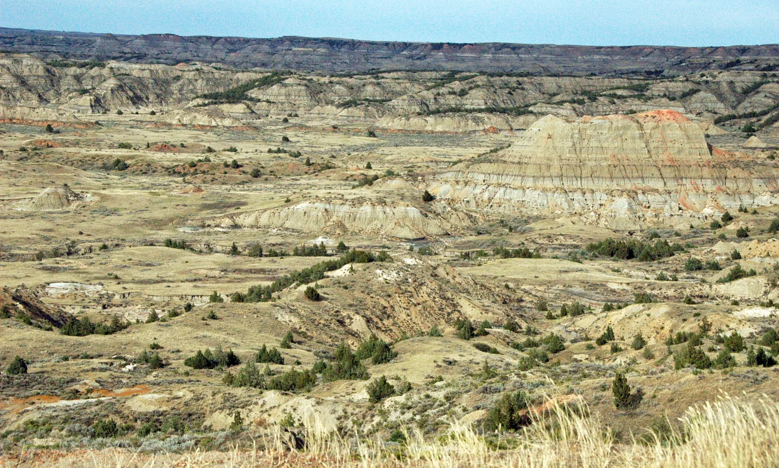 Layered Paleocene rock strata exposed in the Little Missouri Badlands at Painted Canyon