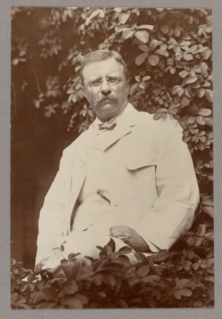 Seated portrait of President Theodore Roosevelt in a white suit, around 1905