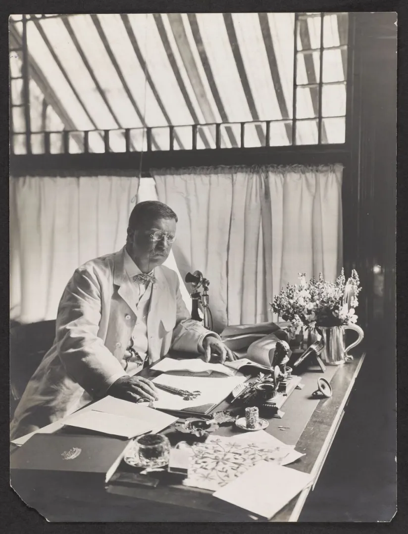 President Theodore Roosevelt working at his desk