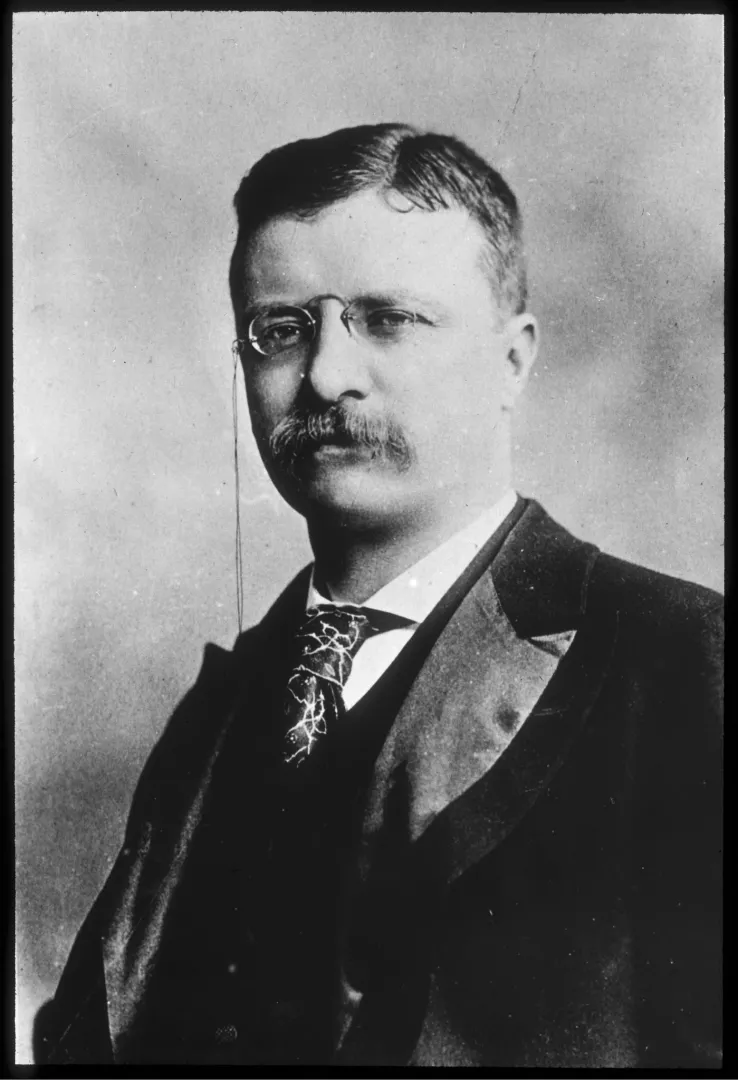 Theodore Roosevelt as Governor of New York