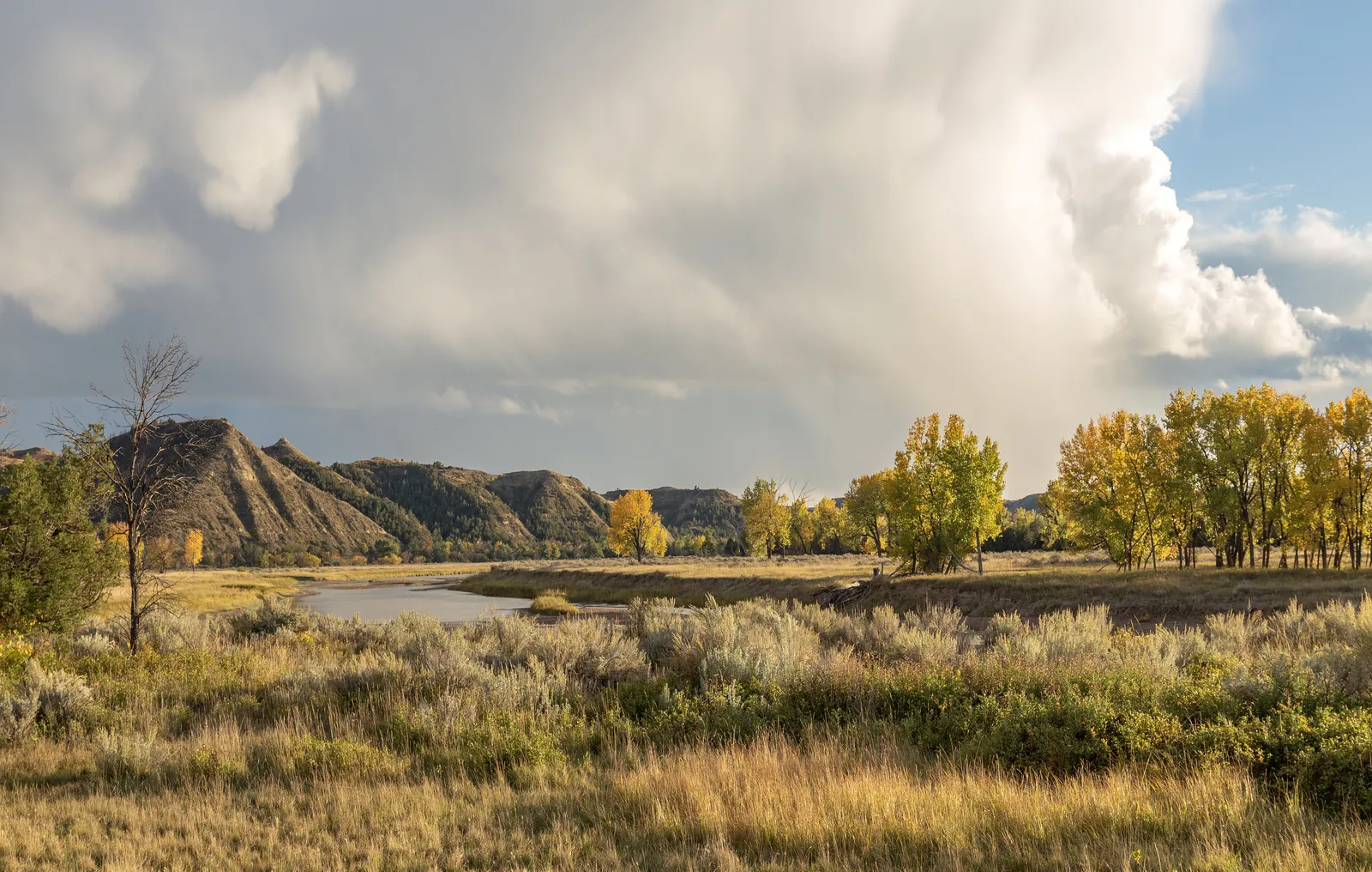 The Little Missouri River winding past cottonwood groves and prairie in Theodore Roosevelt National Park
