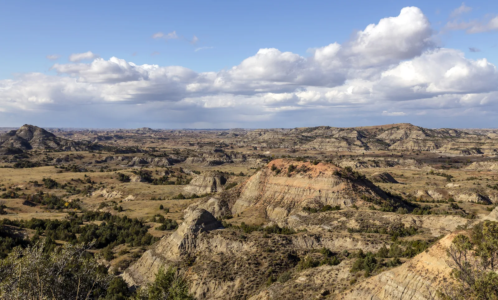 Sweeping panorama of rugged badlands pinnacles and ridges seen from Painted Canyon overlook
