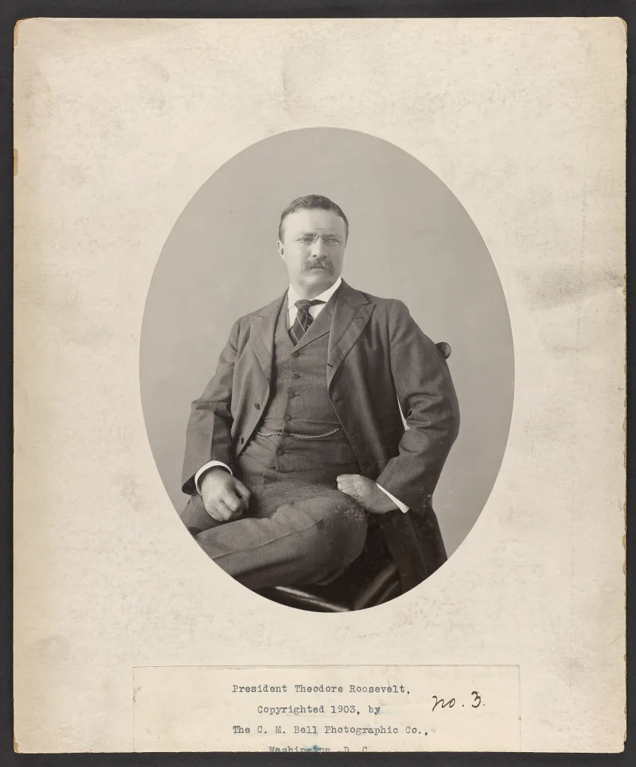 Formal seated studio portrait of Theodore Roosevelt