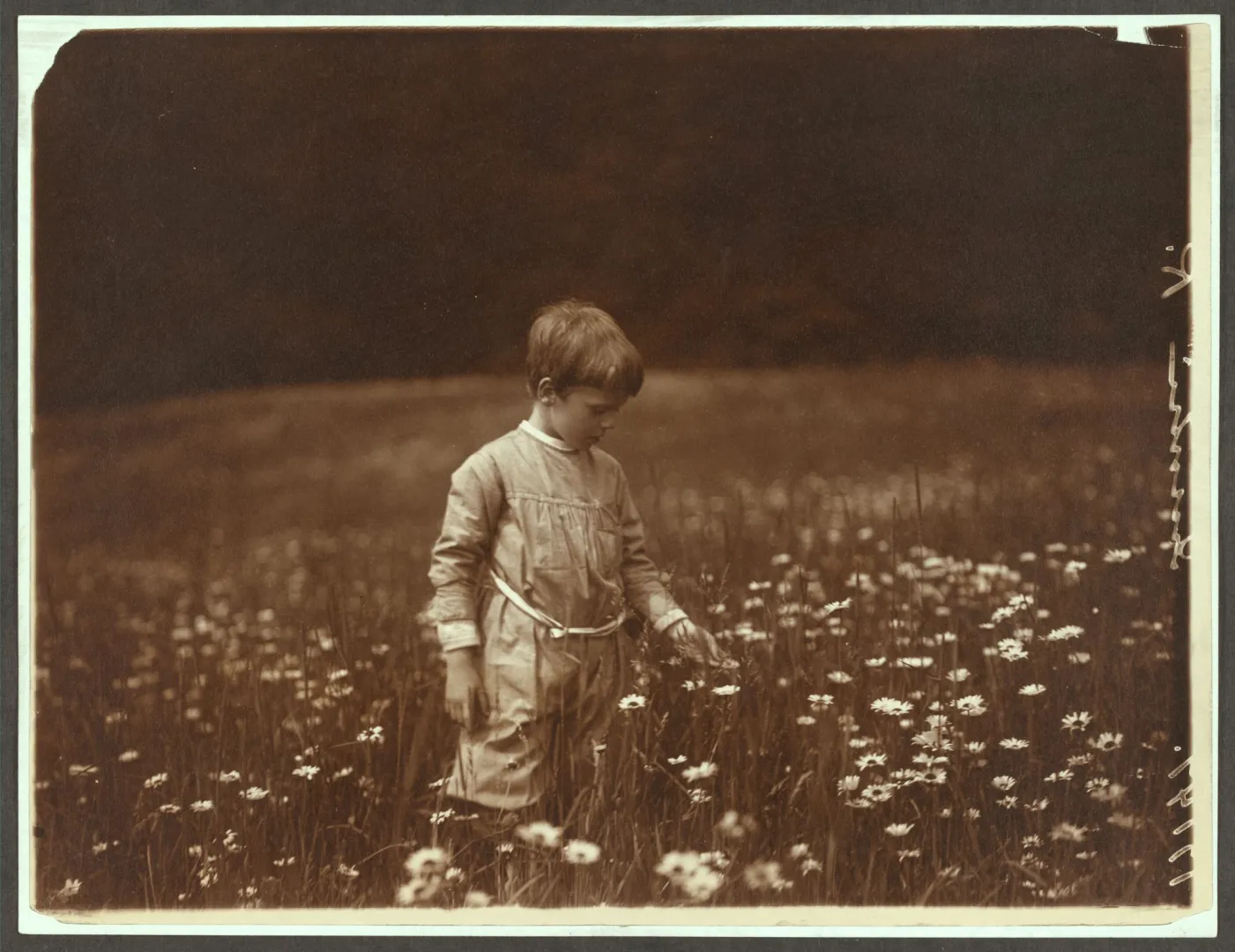 A young Roosevelt child standing amid tall grass and daisies in a summer field