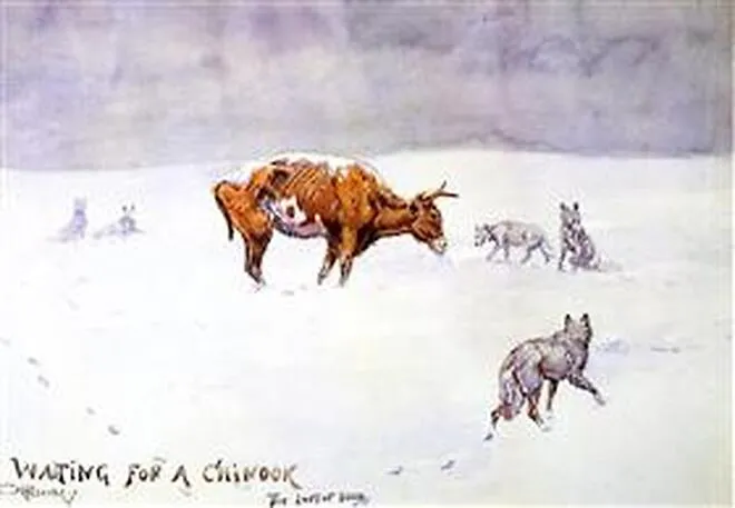 Charles M. Russell's watercolor Waiting for a Chinook, a starving steer ringed by wolves in the snow