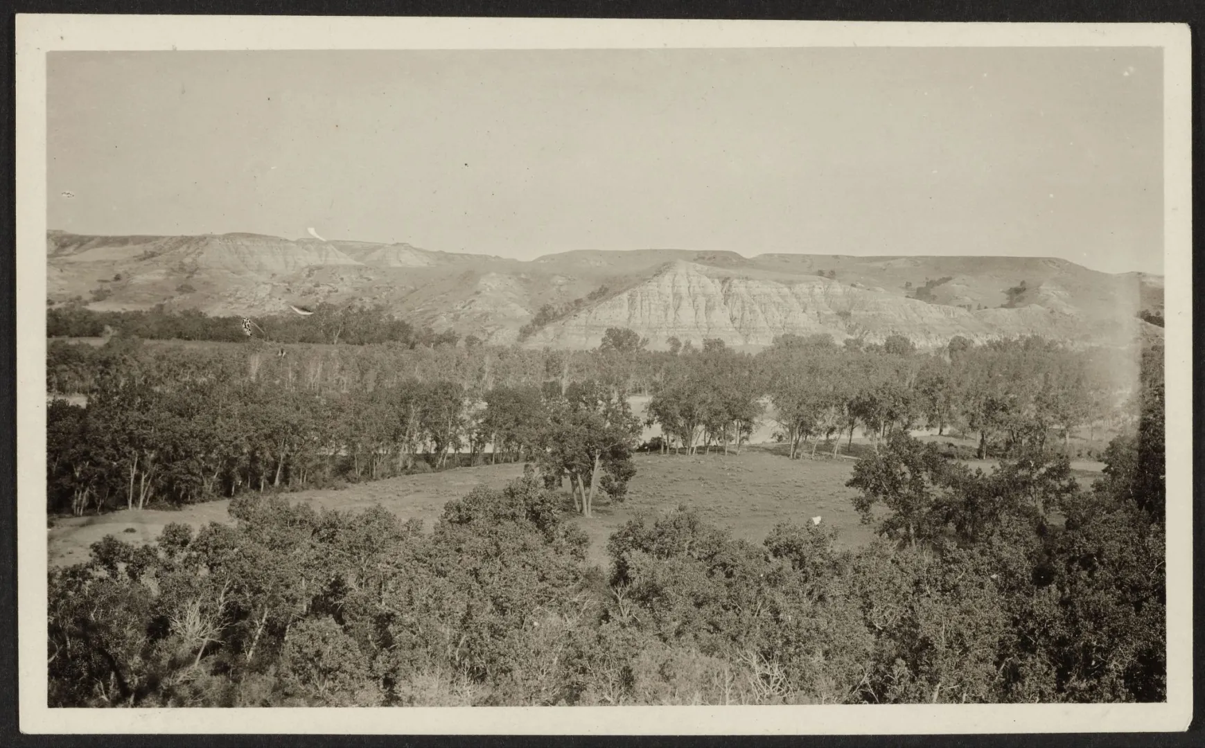 The Little Missouri bottomland where Roosevelt's Elkhorn Ranch had stood