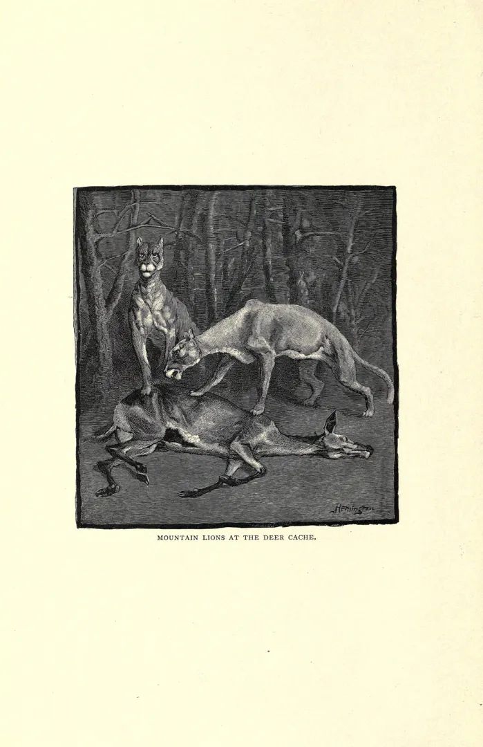 Illustration of a hunting scene from Roosevelt’s Western writings