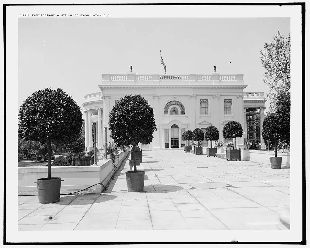 A paved terrace leading to the White House, lined with round topiary trees in tubs.