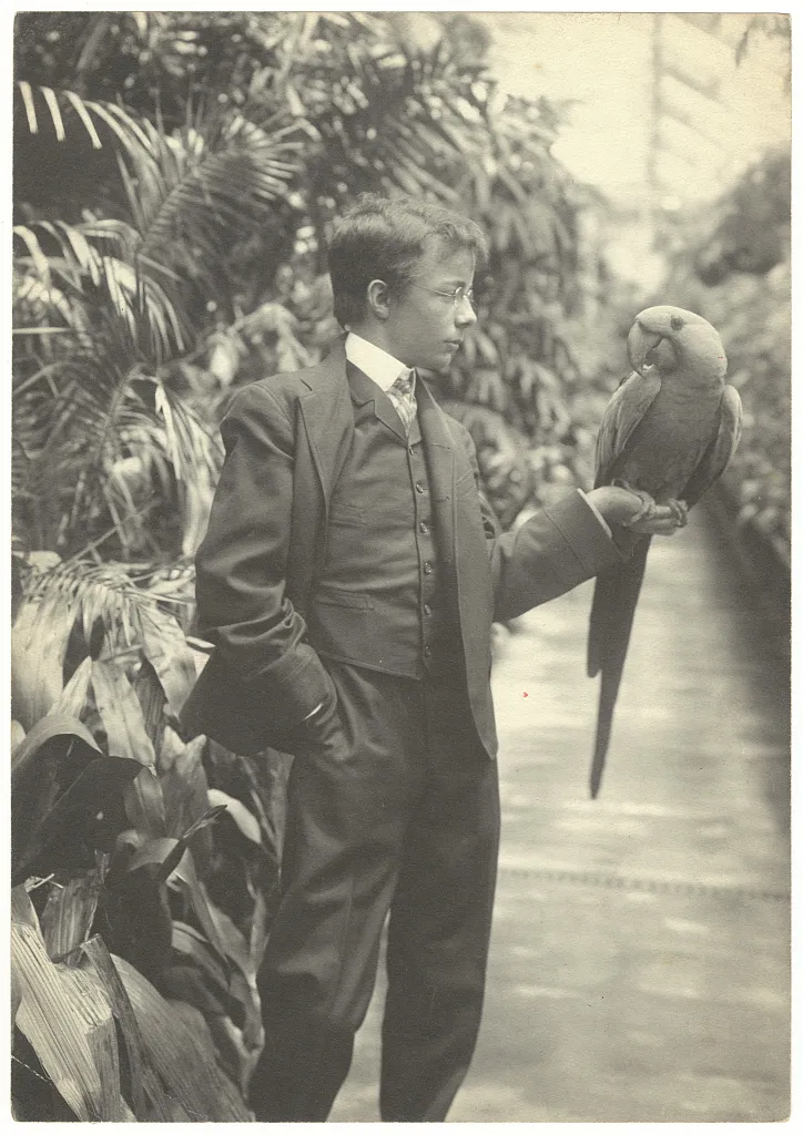 A boy in glasses and a dark three-piece suit holds a large macaw on his arm among palms in a glass conservatory.
