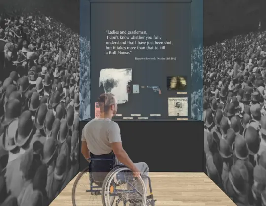 Assassination Attempt