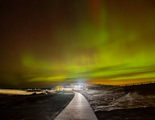 The aurora borealis over the Library boardwalk on a November night