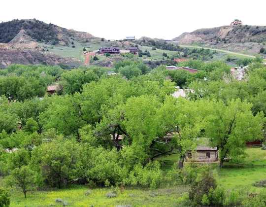View over Medora's cottonwoods and rooftops toward the buttes
