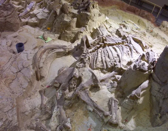 The enclosed dig site at the Mammoth Site in Hot Springs, South Dakota