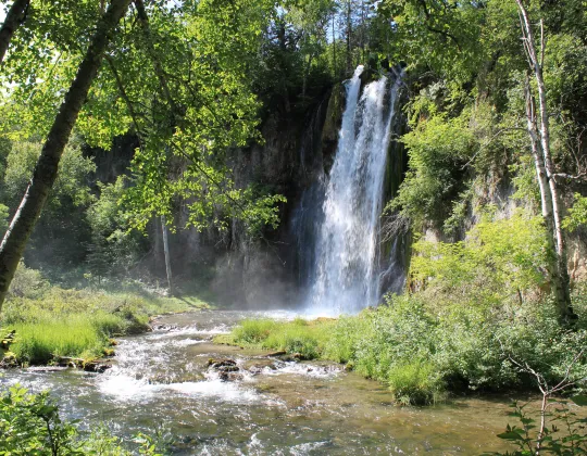 A waterfall dropping through pine and spruce forest in Spearfish Canyon