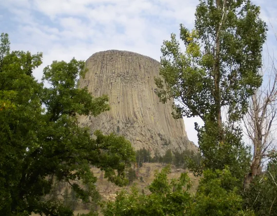 Devils Tower rising above pine trees along the Tower Trail