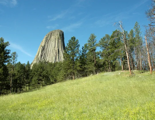 Open grassland and ponderosa pine on the Red Beds Trail at Devils Tower