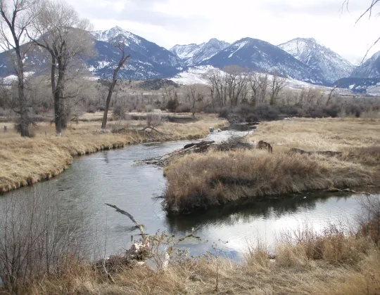 A spring creek winding through a snowy meadow in Paradise Valley, Montana
