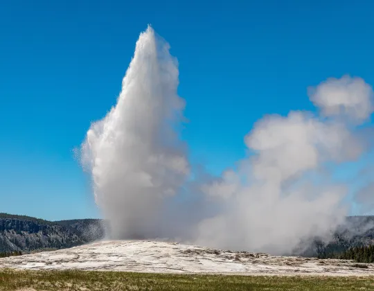 Old Faithful erupting a column of steam and water under a blue sky