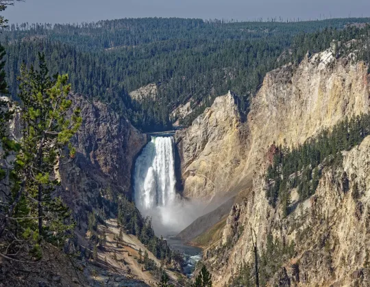 The Lower Falls of the Yellowstone River framed by yellow canyon walls