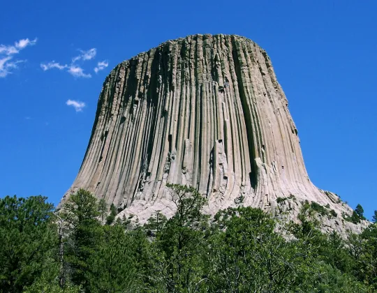 Devils Tower rising above pine forest under a blue sky