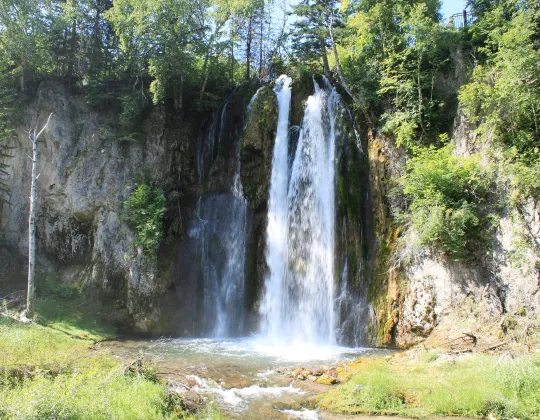 Spearfish Falls dropping into a pool in a forested canyon