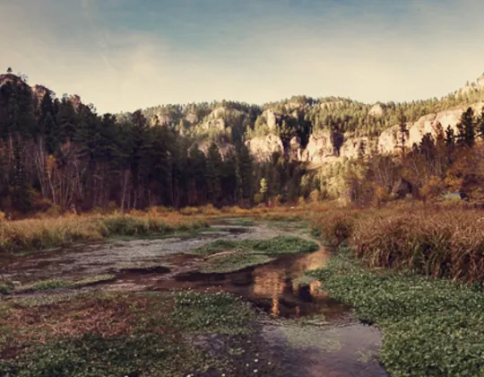 Limestone cliffs above autumn trees in Spearfish Canyon