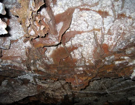 Close view of boxwork formations in Wind Cave
