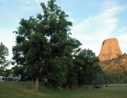 Devils Tower lit by early morning sun above pine trees